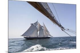 USA, Massachusetts, Cape Ann, Gloucester, schooner sailing ships-Walter Bibikow-Mounted Premium Photographic Print