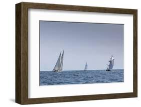 USA, Massachusetts, Cape Ann, Gloucester, schooner sailing ships-Walter Bibikow-Framed Photographic Print