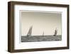 USA, Massachusetts, Cape Ann, Gloucester, schooner sailing ships-Walter Bibikow-Framed Photographic Print