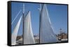 USA, Massachusetts, Cape Ann, Gloucester, schooner sails-Walter Bibikow-Framed Stretched Canvas