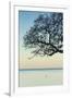 USA, Massachusetts, Cape Ann, Rockport, tree over Front Beach at dusk-Walter Bibikow-Framed Premium Photographic Print