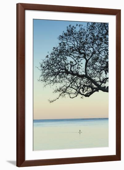 USA, Massachusetts, Cape Ann, Rockport, tree over Front Beach at dusk-Walter Bibikow-Framed Premium Photographic Print