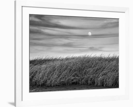 USA, Massachusetts, Cape Cod, Full moon rising at First Encounter Beach-Ann Collins-Framed Photographic Print