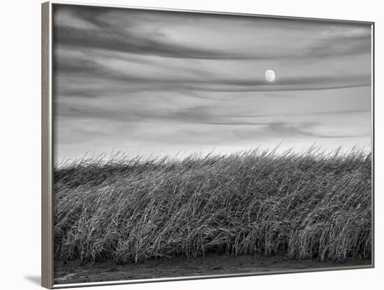 USA, Massachusetts, Cape Cod, Full moon rising at First Encounter Beach-Ann Collins-Framed Photographic Print