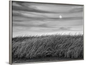 USA, Massachusetts, Cape Cod, Full moon rising at First Encounter Beach-Ann Collins-Framed Photographic Print