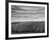 USA, Massachusetts, Cape Cod, Full moon rising at First Encounter Beach-Ann Collins-Framed Photographic Print