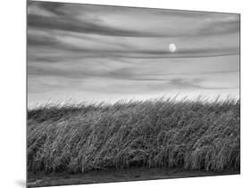 USA, Massachusetts, Cape Cod, Full moon rising at First Encounter Beach-Ann Collins-Mounted Photographic Print