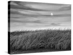 USA, Massachusetts, Cape Cod, Full moon rising at First Encounter Beach-Ann Collins-Stretched Canvas