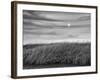 USA, Massachusetts, Cape Cod, Full moon rising at First Encounter Beach-Ann Collins-Framed Photographic Print