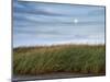 USA, Massachusetts, Cape Cod, Full moon rising at First Encounter Beach-Ann Collins-Mounted Photographic Print