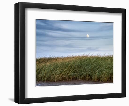 USA, Massachusetts, Cape Cod, Full moon rising at First Encounter Beach-Ann Collins-Framed Photographic Print