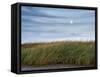 USA, Massachusetts, Cape Cod, Full moon rising at First Encounter Beach-Ann Collins-Framed Stretched Canvas