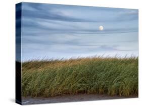 USA, Massachusetts, Cape Cod, Full moon rising at First Encounter Beach-Ann Collins-Stretched Canvas