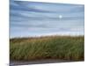 USA, Massachusetts, Cape Cod, Full moon rising at First Encounter Beach-Ann Collins-Mounted Photographic Print