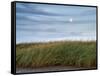 USA, Massachusetts, Cape Cod, Full moon rising at First Encounter Beach-Ann Collins-Framed Stretched Canvas