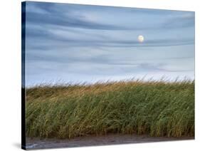 USA, Massachusetts, Cape Cod, Full moon rising at First Encounter Beach-Ann Collins-Stretched Canvas
