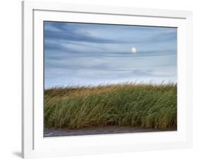 USA, Massachusetts, Cape Cod, Full moon rising at First Encounter Beach-Ann Collins-Framed Photographic Print