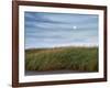 USA, Massachusetts, Cape Cod, Full moon rising at First Encounter Beach-Ann Collins-Framed Photographic Print