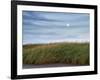 USA, Massachusetts, Cape Cod, Full moon rising at First Encounter Beach-Ann Collins-Framed Photographic Print