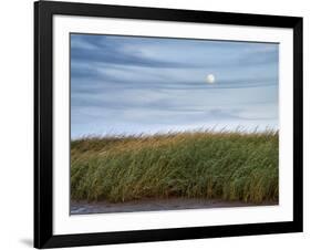 USA, Massachusetts, Cape Cod, Full moon rising at First Encounter Beach-Ann Collins-Framed Photographic Print