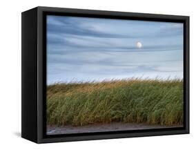 USA, Massachusetts, Cape Cod, Full moon rising at First Encounter Beach-Ann Collins-Framed Stretched Canvas