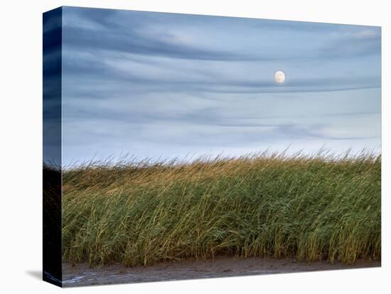 USA, Massachusetts, Cape Cod, Full moon rising at First Encounter Beach-Ann Collins-Stretched Canvas