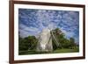 USA, Massachusetts, Cape Cod, Orleans, old windmill-Walter Bibikow-Framed Premium Photographic Print