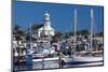 USA, Massachusetts, Cape Cod, Provincetown, Macmilan Pier, Town View with Public Library Building-Walter Bibikow-Mounted Photographic Print