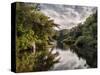 USA, Massachusetts, Cape Cod, Stony Brook Mill Pond-Ann Collins-Stretched Canvas