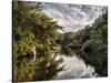 USA, Massachusetts, Cape Cod, Stony Brook Mill Pond-Ann Collins-Stretched Canvas