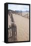 USA, Massachusetts. Dunes and path leading to a Cape Cod beach.-Anna Miller-Framed Stretched Canvas