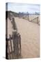 USA, Massachusetts. Dunes and path leading to a Cape Cod beach.-Anna Miller-Stretched Canvas