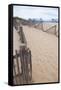 USA, Massachusetts. Dunes and path leading to a Cape Cod beach.-Anna Miller-Framed Stretched Canvas