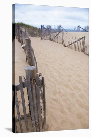 USA, Massachusetts. Dunes and path leading to a Cape Cod beach.-Anna Miller-Stretched Canvas