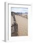 USA, Massachusetts. Dunes and path leading to a Cape Cod beach.-Anna Miller-Framed Photographic Print