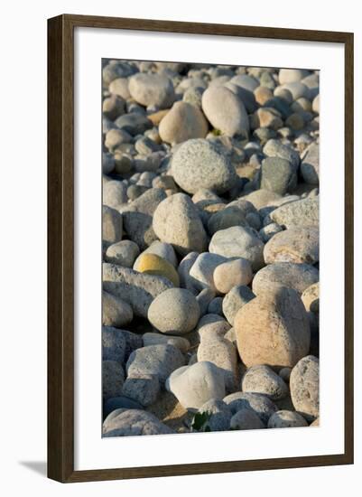 USA, Massachusetts, Gosnold. Rocky shoreline of Cuttyhunk island.-Cindy Miller Hopkins-Framed Photographic Print