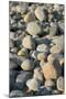 USA, Massachusetts, Gosnold. Rocky shoreline of Cuttyhunk island.-Cindy Miller Hopkins-Mounted Photographic Print