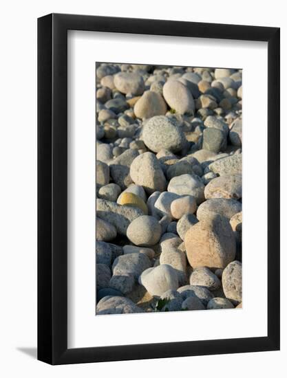 USA, Massachusetts, Gosnold. Rocky shoreline of Cuttyhunk island.-Cindy Miller Hopkins-Framed Photographic Print