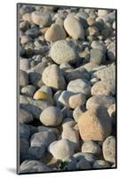 USA, Massachusetts, Gosnold. Rocky shoreline of Cuttyhunk island.-Cindy Miller Hopkins-Mounted Photographic Print