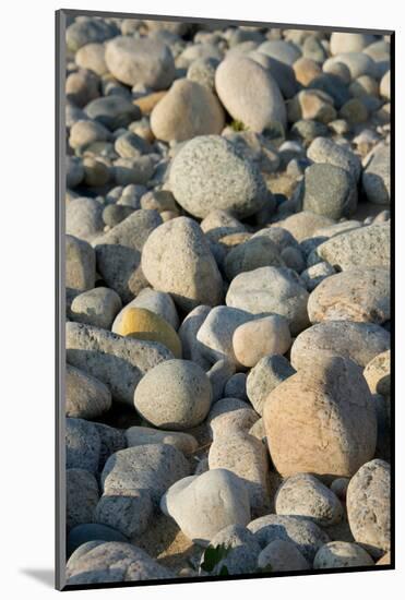 USA, Massachusetts, Gosnold. Rocky shoreline of Cuttyhunk island.-Cindy Miller Hopkins-Mounted Photographic Print