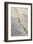 USA, Massachusetts, Nantucket Island. Madaket. Madaket Beach, sand fence and shadows.-Walter Bibikow-Framed Photographic Print