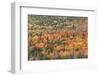 USA, Michigan. Autumn foliage in the Keweenaw Peninsula.-Brenda Tharp-Framed Photographic Print