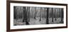 Usa, Michigan, Black River National Forest, Walkway Running Through a Forest-null-Framed Photographic Print