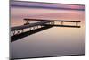 USA Michigan - Dock and lake at dawn, June-Larry West-Mounted Photographic Print