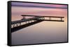 USA Michigan - Dock and lake at dawn, June-Larry West-Framed Stretched Canvas