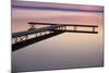 USA Michigan - Dock and lake at dawn, June-Larry West-Mounted Photographic Print