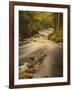 USA, Michigan, Fall Colors, Stream-George Theodore-Framed Photographic Print