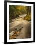 USA, Michigan, Fall Colors, Stream-George Theodore-Framed Photographic Print