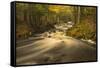 USA, Michigan. Fall Colors, Stream-George Theodore-Framed Stretched Canvas