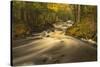 USA, Michigan. Fall Colors, Stream-George Theodore-Stretched Canvas